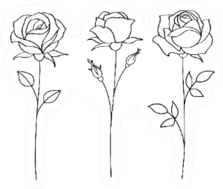 Set Of Sketches, Hand Drawn Rose Sticker