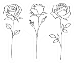 Set Of Sketches, Hand Drawn Rose Sticker