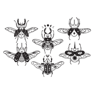 Set Of Stylized Magic Beetles Sticker 