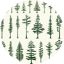 Set Of Stylized Pine Silhouettes Sticker