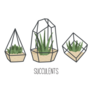 Set of Succulents in Terrariums Indoor Plants Sticker
