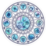Set Of Symbol Zodiac Signs Sticker