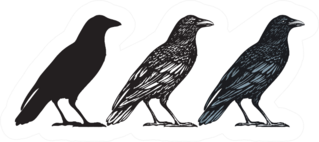 Set Of Three Hand-drawn Black Birds Isolated Crow Sticker