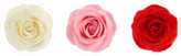 Set Of Three Roses Sticker