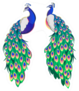 Set Of Two Peacocks Isolated Facing Each Other Sticker