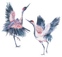 Set Of Vintage Watercolor Pair Red Heads Cranes Sticker