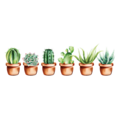 Set Of Watercolor Cactus New Mexico Sticker
