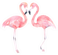 Set Watercolor Flamingo Couple Sticker