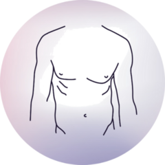 Sexy Man Body Line Illustration Sticker