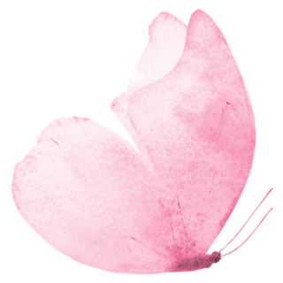 Shades of Light Pink Butterfly Sticker