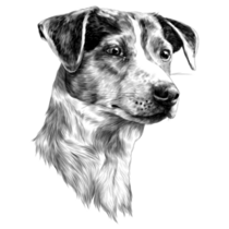 Shadow Jack Terrier Sticker