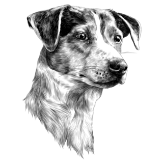 Shadow Jack Terrier Sticker