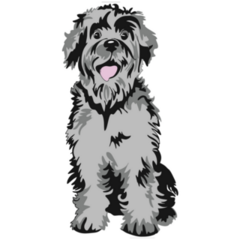Shaggy Schnauzer Sticker