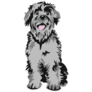 Shaggy Schnauzer Sticker