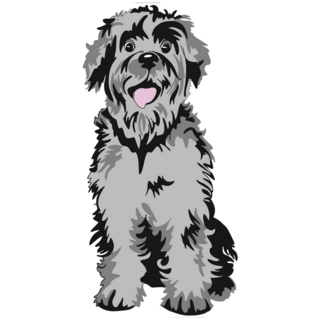 Shaggy Schnauzer Sticker