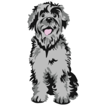 Shaggy Schnauzer Sticker