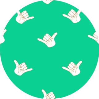 Shaka Sign Hands Seam Lass Pattern Green Sticker