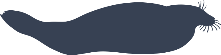 Shapely Walrus Sticker