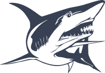 Shark Showing Teeth Sticker