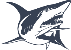 Shark Showing Teeth Sticker