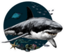 Shark Swimming At The Bottom Of The Sea Sticker