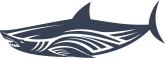 Shark With Lines Sticker