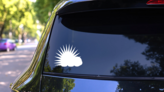 Sharp Porcupine Sticker on a Rear Car Window (New) example