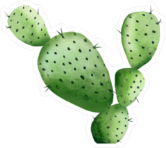 Sharp Watercolor Cactus Sticker
