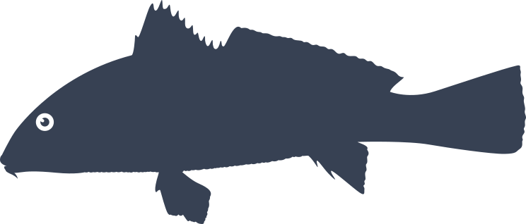 She Drum Fish Sticker