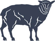 Sheep Lamb Sticker