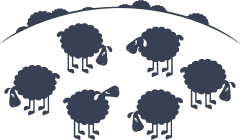 Sheep Lambs In A Field Sticker