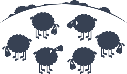 Sheep Lambs In A Field Sticker