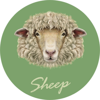 Sheep Portrait On Green Background Sticker