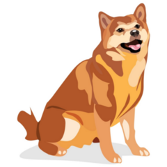 Shiba Dog Detailed Sticker
