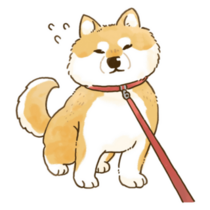 Shiba Inu On Walk Sticker