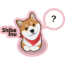 Shiba Inu Question Sticker