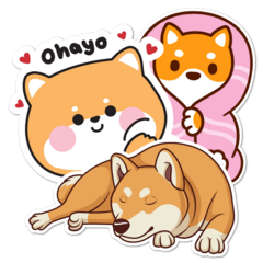Shiba Inu Thumbnail