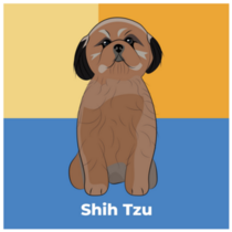 Shih Tzu Block Sticker