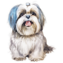 Shih Tzu Blue Fur Sticker