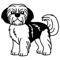 Shih Tzu B&W Sticker