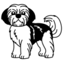 Shih Tzu B&W Sticker