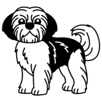 Shih Tzu B&W Sticker