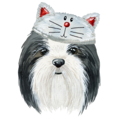 Shih Tzu Cat Hat Sticker