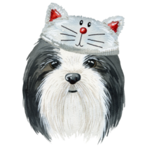 Shih Tzu Cat Hat Sticker