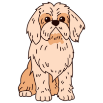 Shih Tzu Cute Sticker