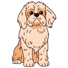 Shih Tzu Cute Sticker