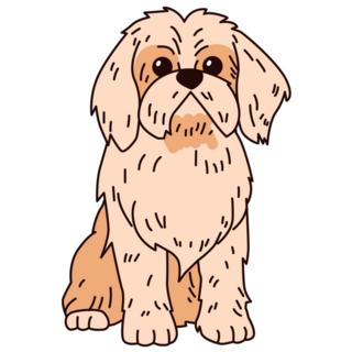 Shih Tzu Cute Sticker