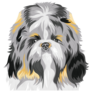 Shih Tzu Dog Face Sticker