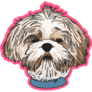 Shih Tzu Face Pink Sticker