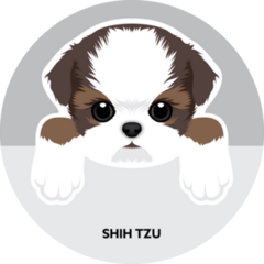 Shih Tzu Grey Sticker